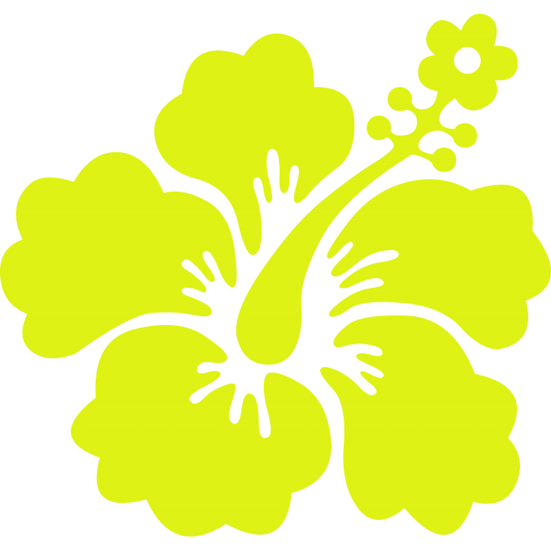 Hibiscus