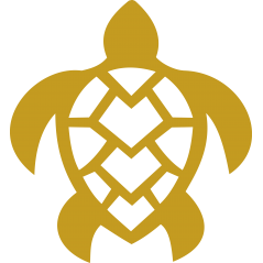 Tortue