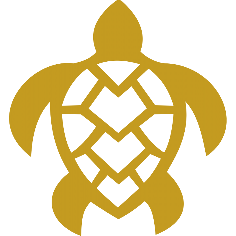 Tortue