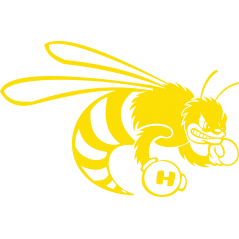Honda Hornet