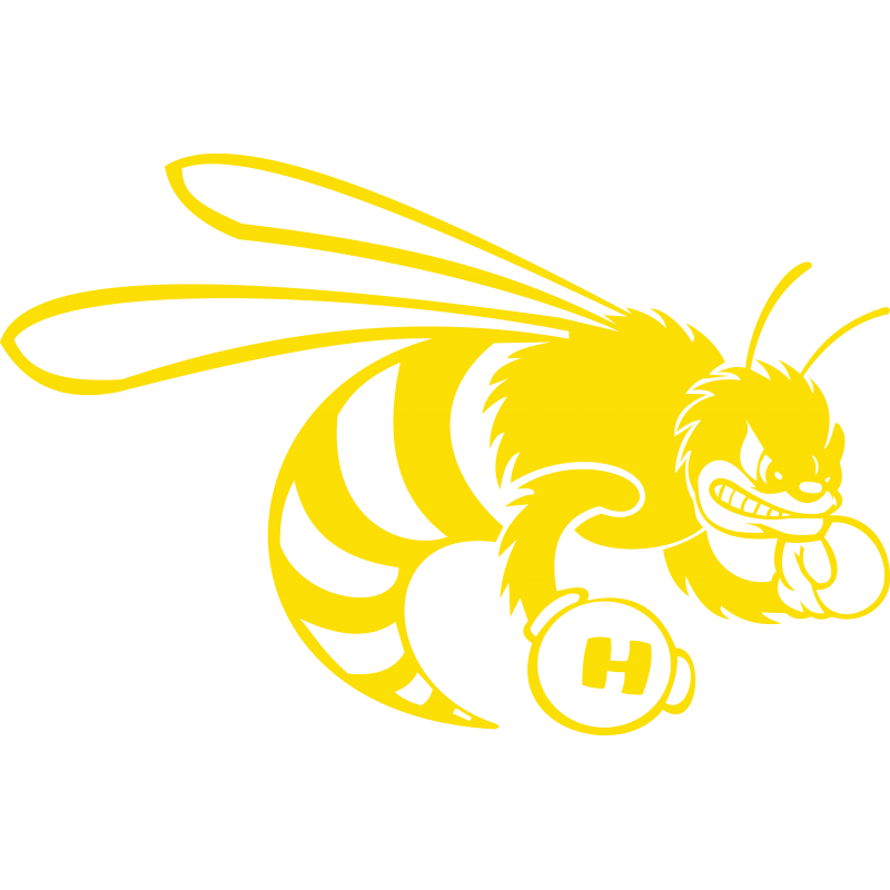 Honda Hornet