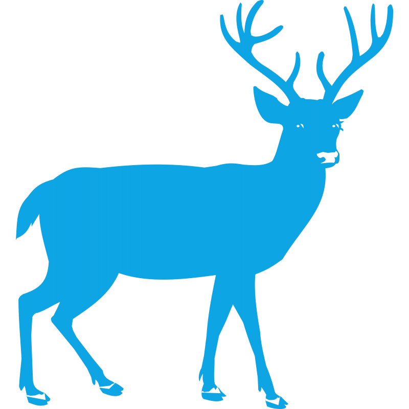 Cerf