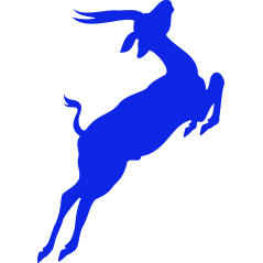 Antilope