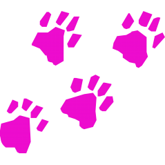 Empreintes animales