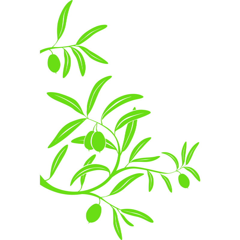 Branche Olivier Branche Olivier