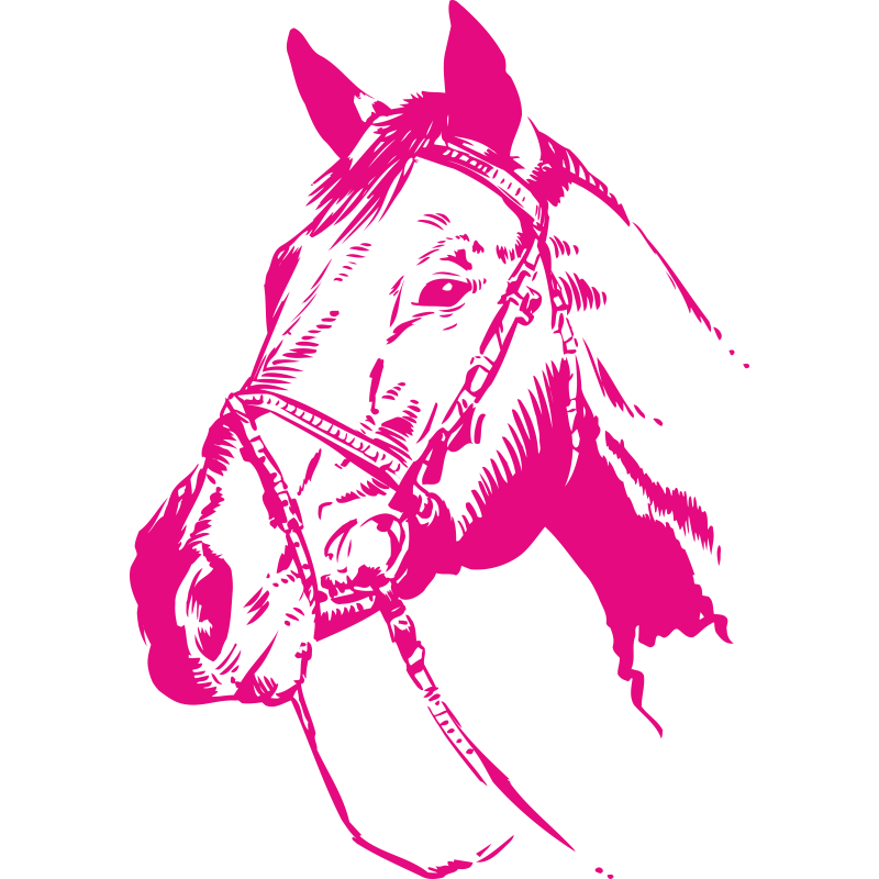 Cheval