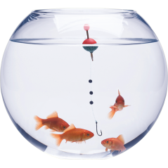 Bocal poissons