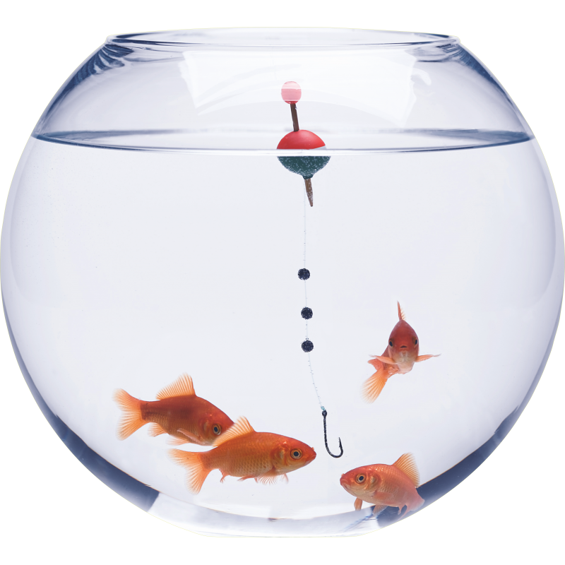 Bocal poissons