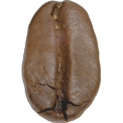 Grain de cafe