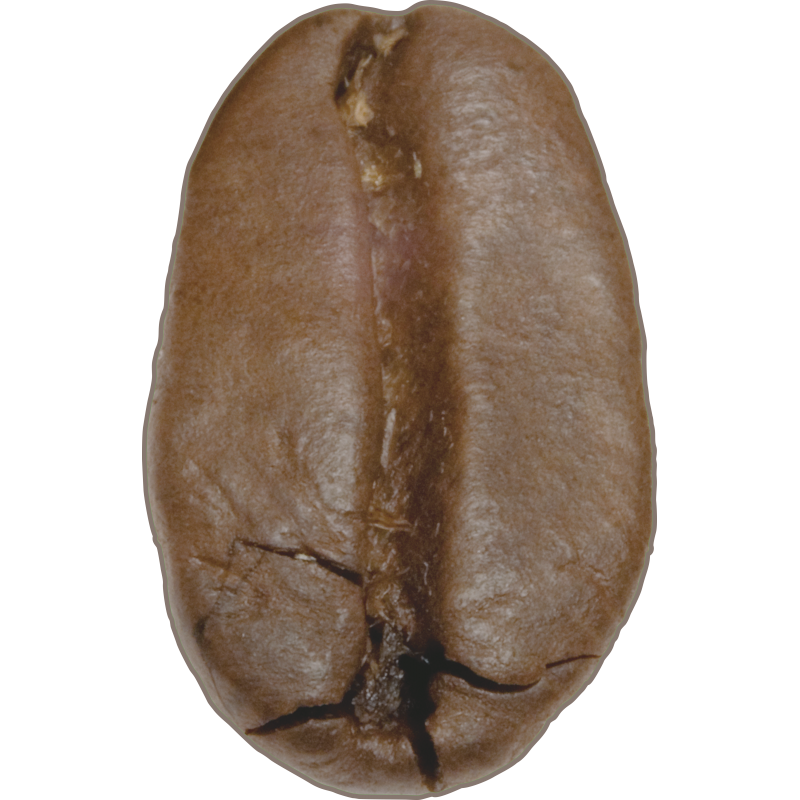 Grain de cafe