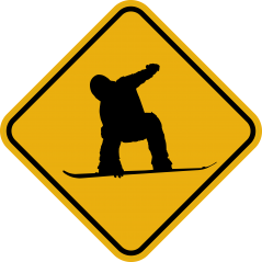 Surfer