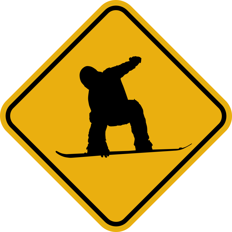 Surfer
