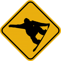 Surfer