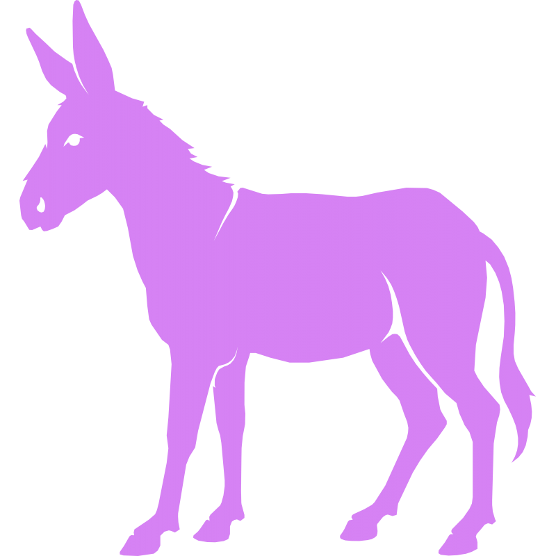 Ane