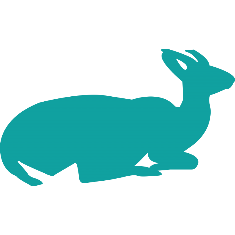 Biche Biche