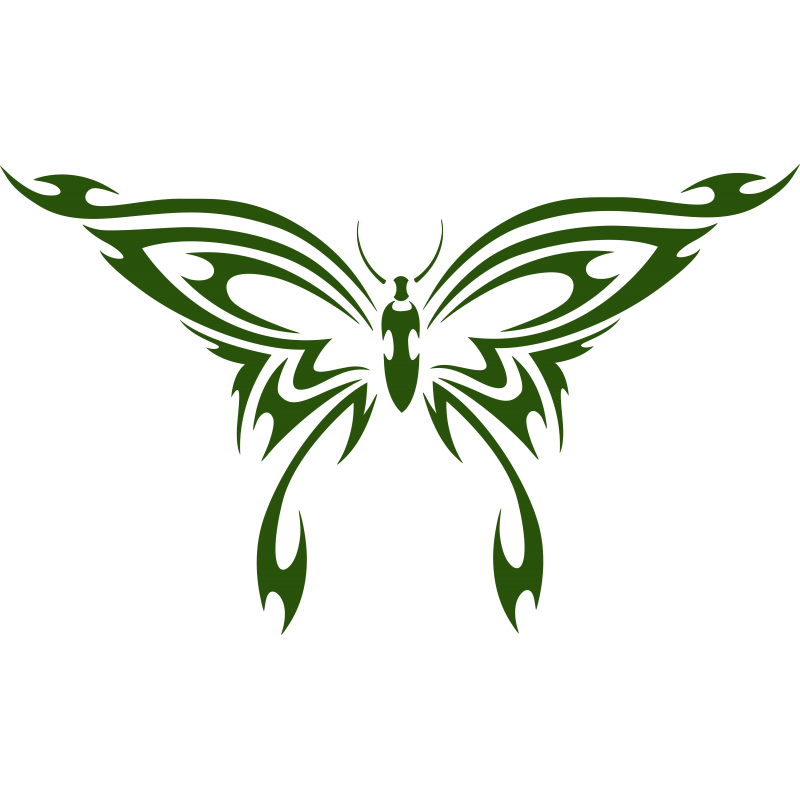 Papillon Papillon