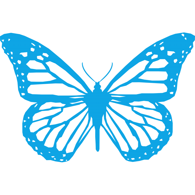 Papillon Papillon
