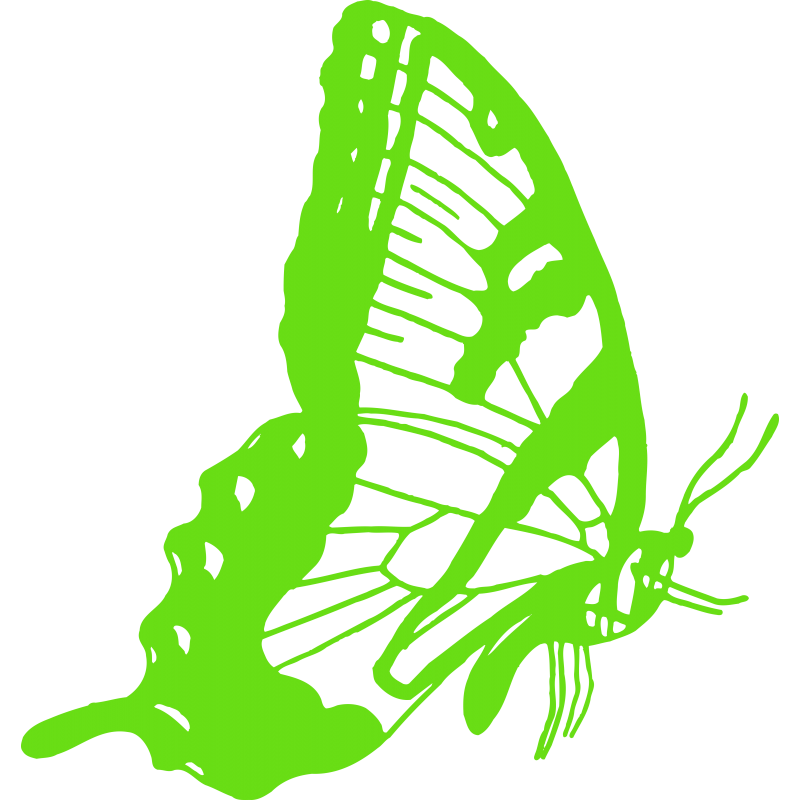 Papillon