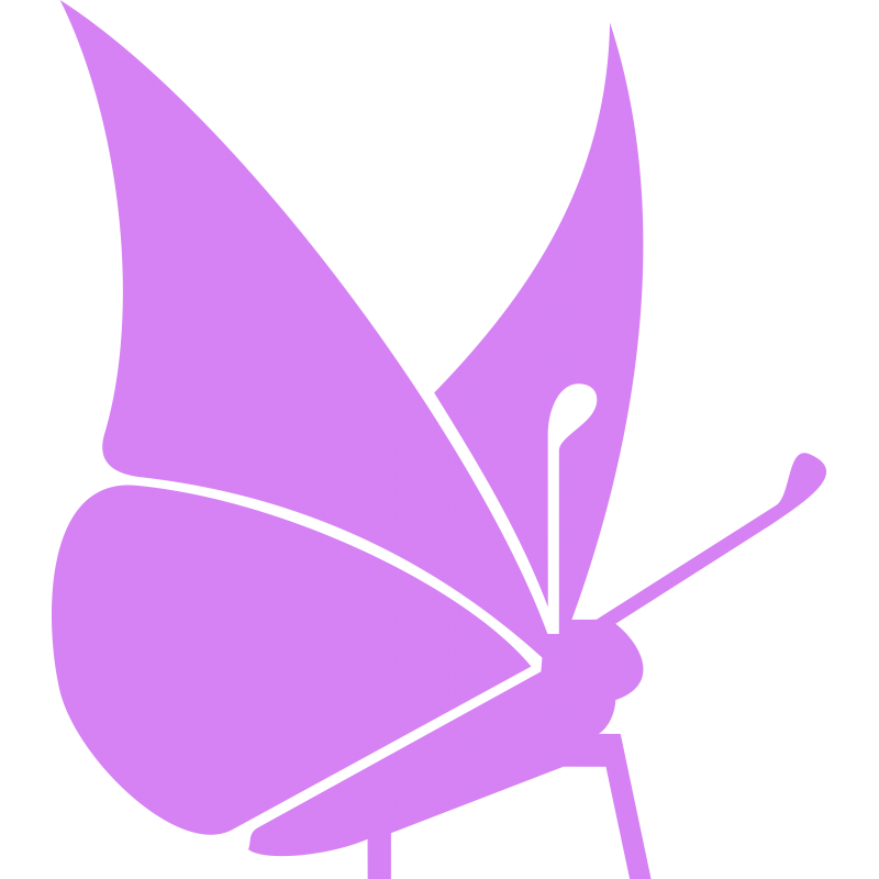 Papillon