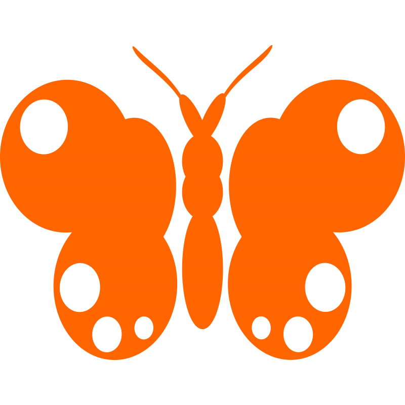 Papillon Papillon