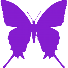 Papillon