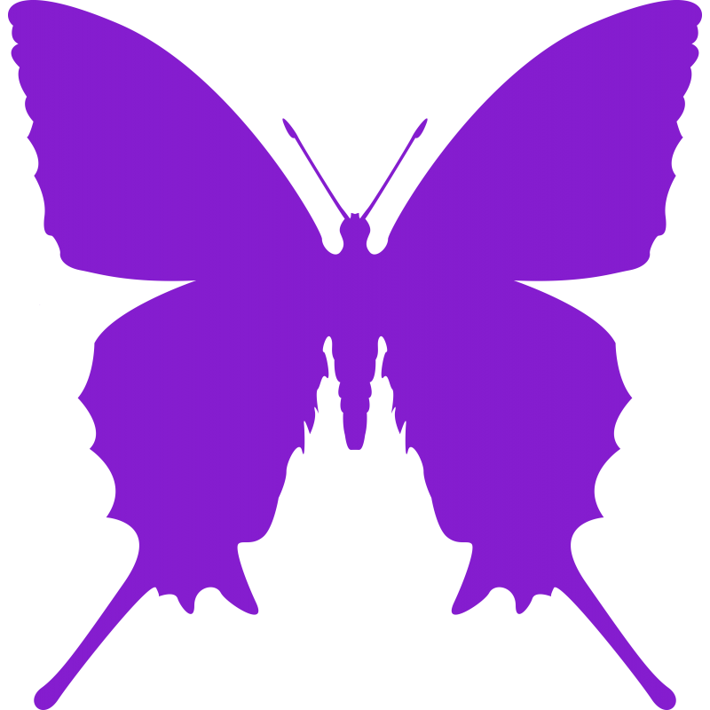 Papillon