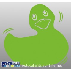 Canard