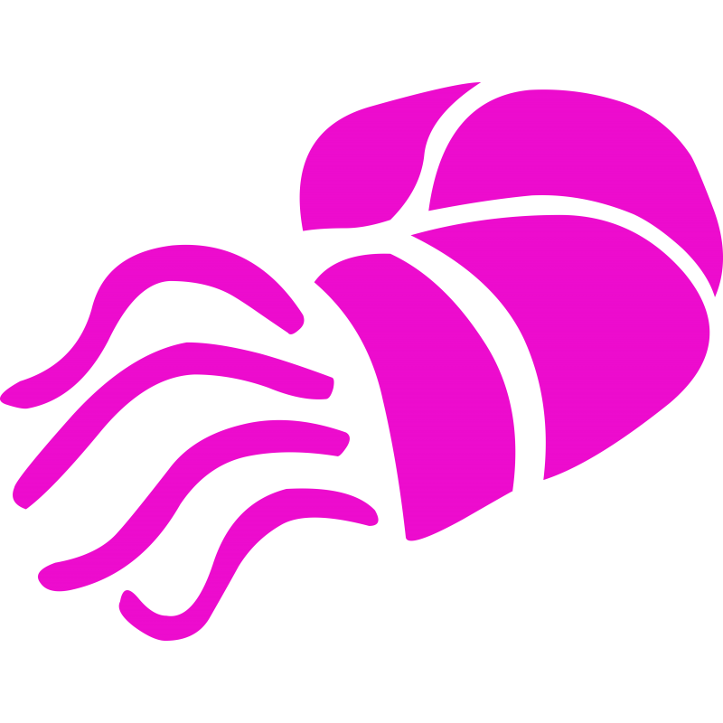 Nautilus