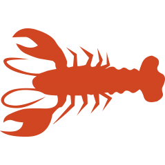 Homard