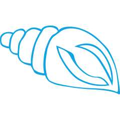 Coquillage