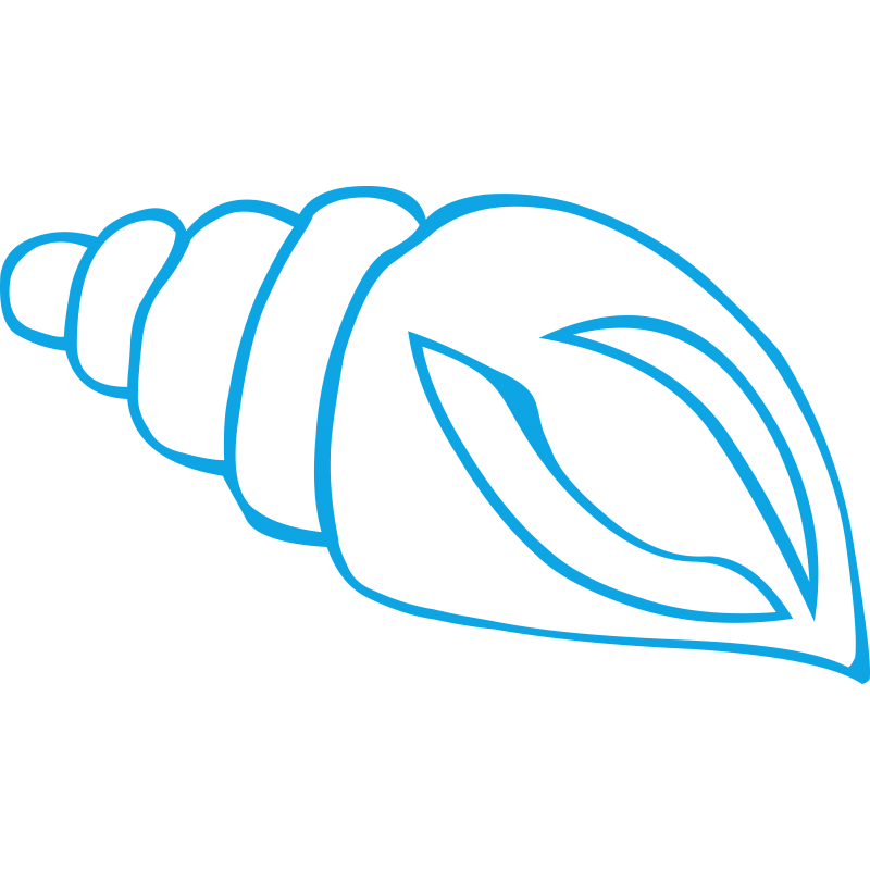 Coquillage