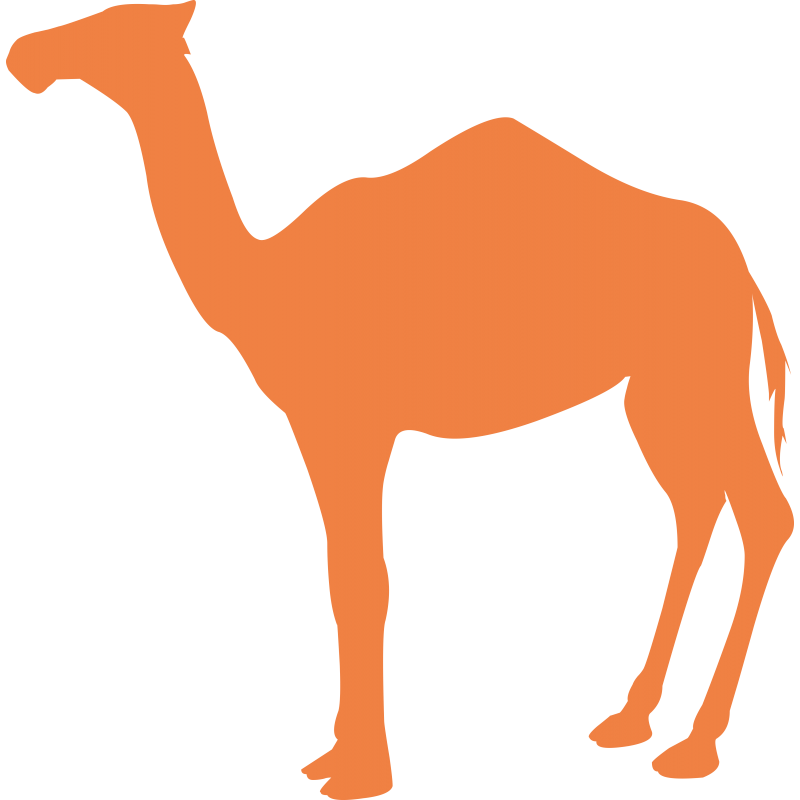 Dromadaire