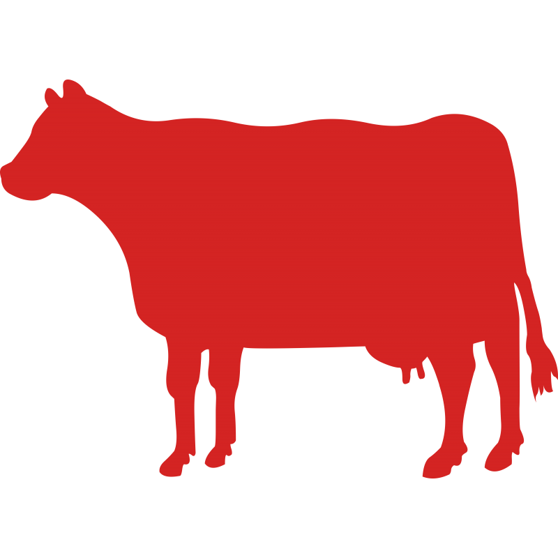 Vache