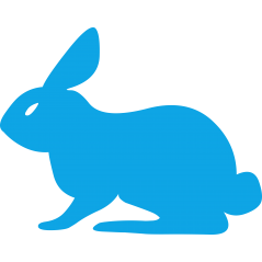 Lapin