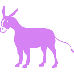 Ane