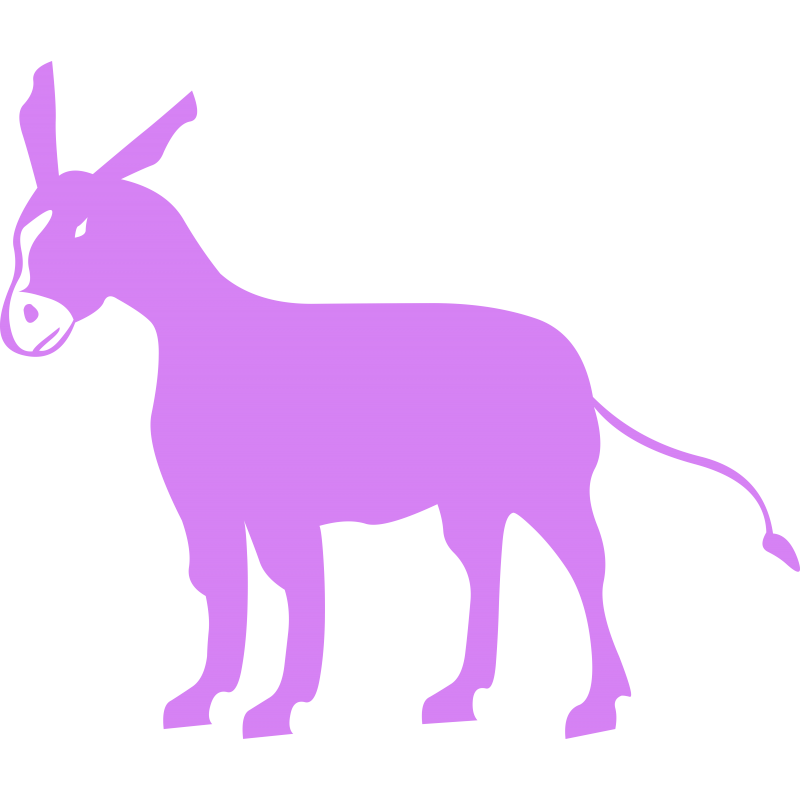 Ane
