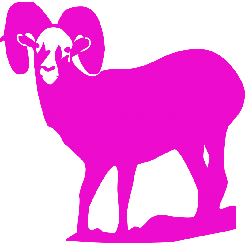 Mouflon