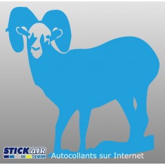 Mouflon