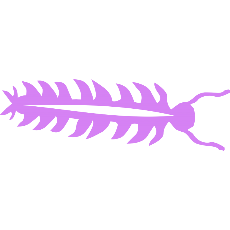 Mille pattes