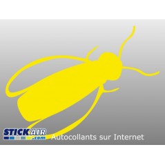 Insecte volant