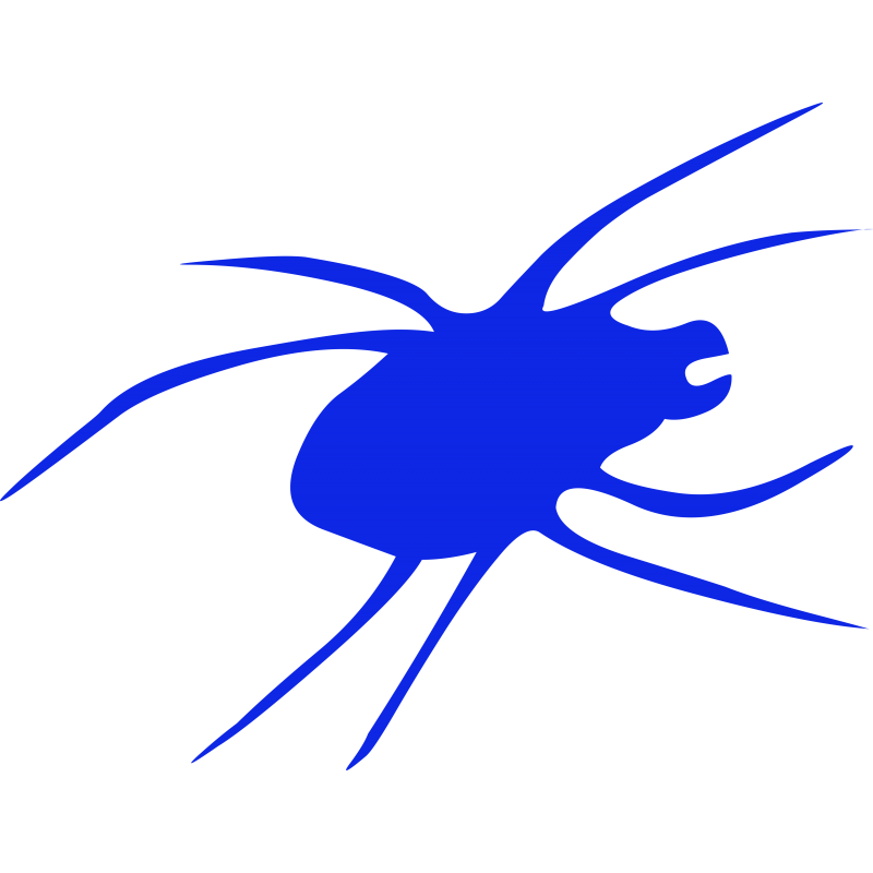 Araignee