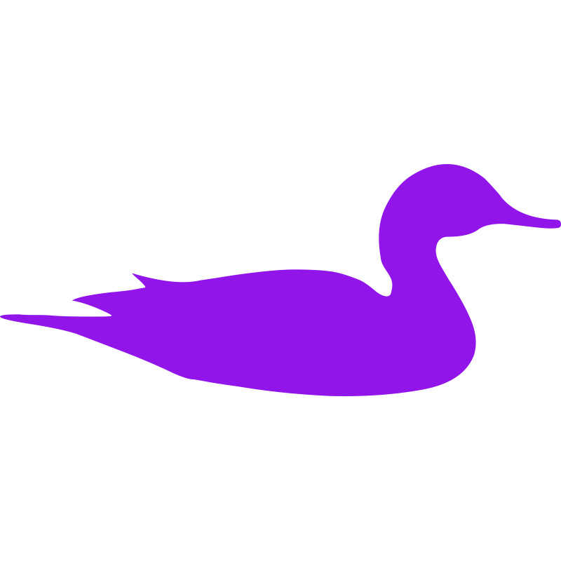Canard