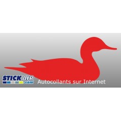 Canard