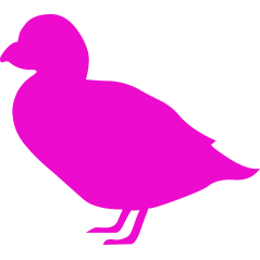 Canard