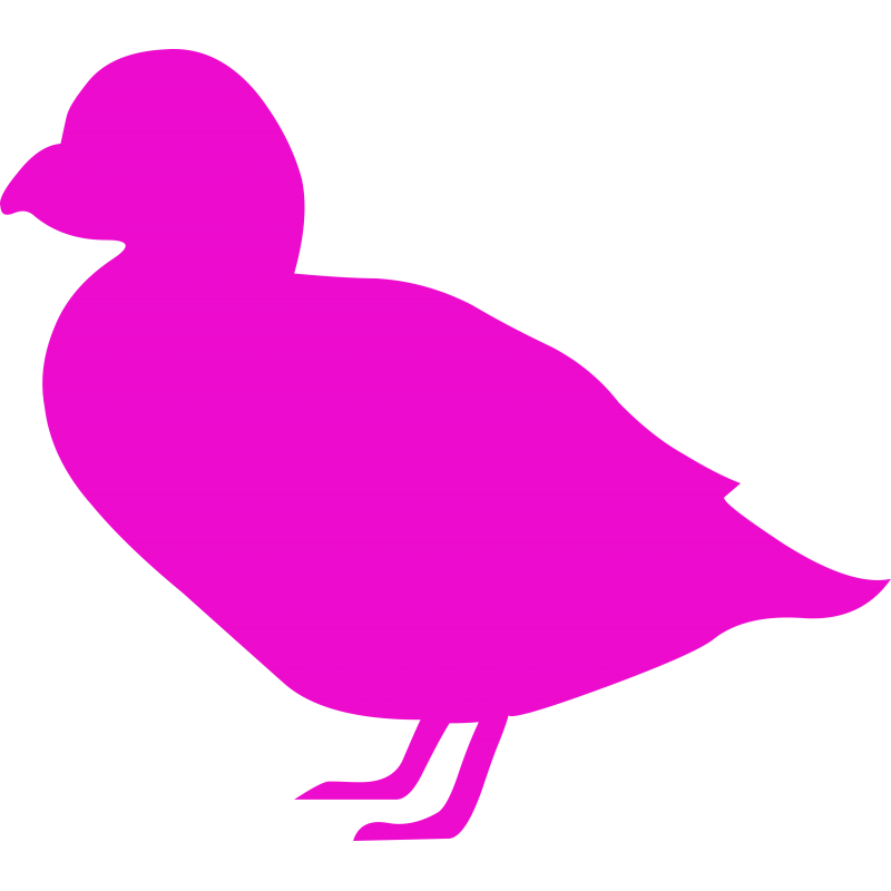 Canard