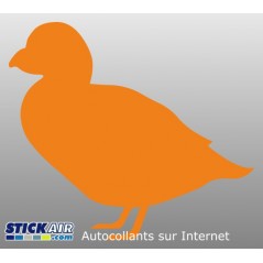 Canard