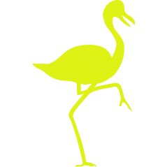 Flamant rose