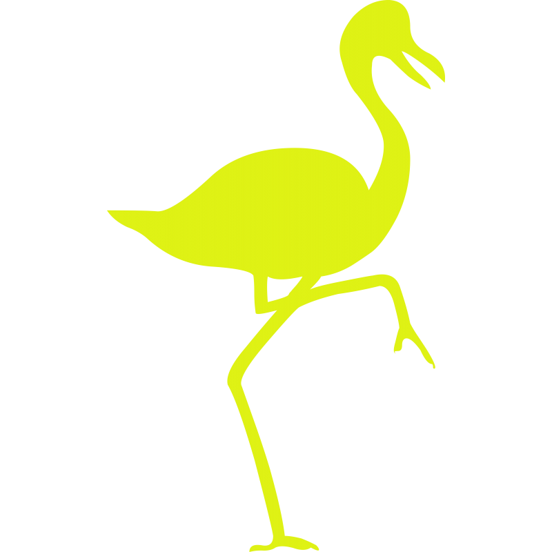 Flamant rose