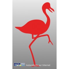 Flamant rose