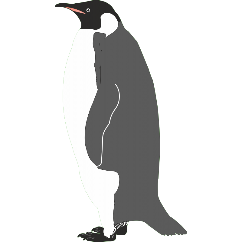 Pingouin